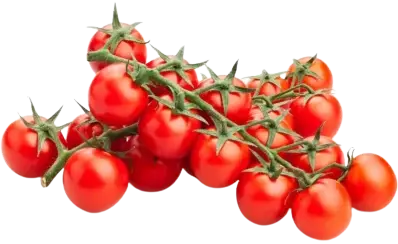 pomidory cherry na gałązce