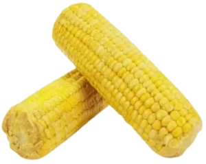 kukurydza gotowana