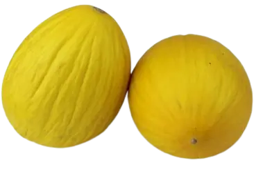 melon swiezy bio