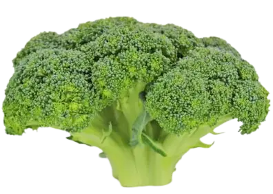 brokuly swieze