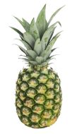ananas bio