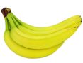 banany bio