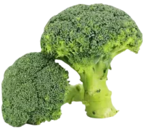 brokuły świeże