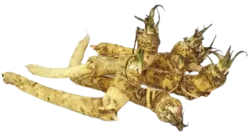 chrzan świeży