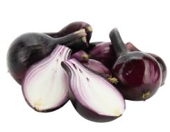 cebula czerwona bio