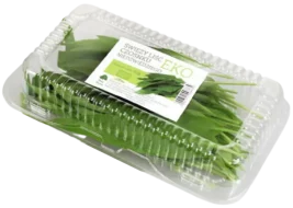 czosnek niedzwiedzi swiezy