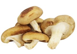 grzyby shiitake bio