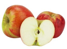 jabłka champion bio