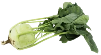 kalarepa świeża