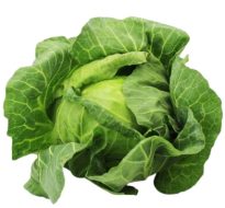 kapusta biała świeża bio