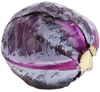 kapusta czerwona swieza