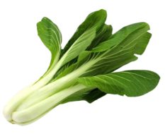 kapusta pak choi