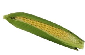 kukurydza świeża bio