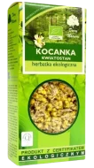 kwiatostan kocanki