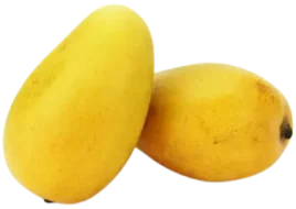 mango bio