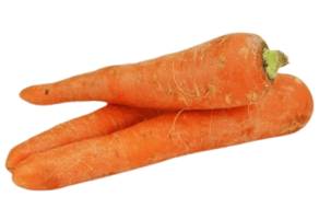marchew świeża młoda