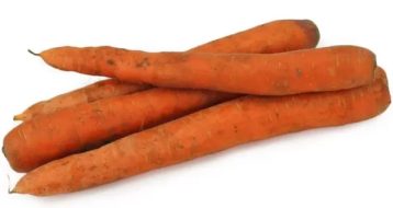 marchewka ekologiczna