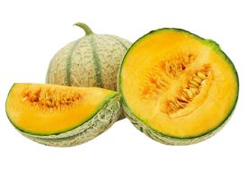 melon bio