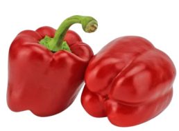 papryka czerwona bio