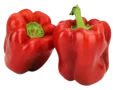 papryka czerwona swieza