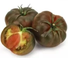 pomidory czarne rebellion