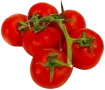 pomidory na gałązce