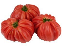 pomidory bawole serce