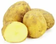 ziemniaki żółte świeże bio